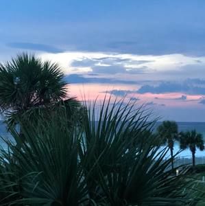 Meet your Posher, Cherie